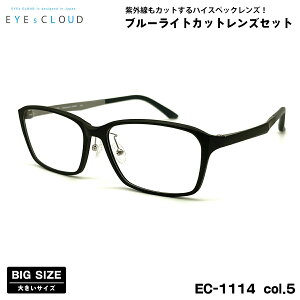 傫TCY ɒB _eKl EC-1114 col.5 59mm EYEs CLOUD ACNEh 傫 UVJbg u[CgJbg