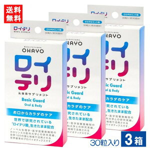 Ce_ۃTvg Basic Guard 30×3 Ce ~gTvg ^ubg PA L΍