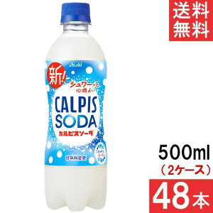 �A�T�q���� �J���s�X�\�[�_ 500ml 24�{×2�P�[�X 48�{