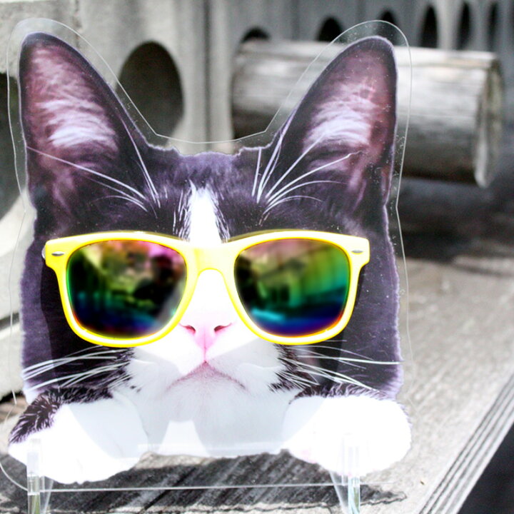 楽天市場 メガネスタンド アニマルシリーズ 靴下猫 ご注文より15営業日前後にて発送 アイアップ公式ショップ Paldepa