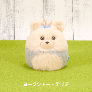 R ɂR |  L ʂ Nオ肱ڂ ʂR 킢 Mtg ʂ ViEU[ [NVeA V[Y[ rVt[[ AV n` L O