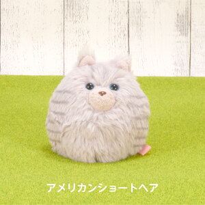 R ɂR |  L ʂ Nオ肱ڂ ʂR 킢 Mtg ʂ ViEU[ [NVeA V[Y[ rVt[[ AV n` L O