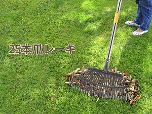 yz Eyliden F [L K[f[L 25 | K[fjO Ő t|  | K[f| G _ |[t 101cm-175cm 4iK̒  ݂艺