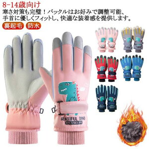 h ̎q ܖ{w XL[O[u  XL[O[u LbY N h h 5{w 7-12Ό XL[O[u q LbY 5{w XP[g ~g h   WjA h V