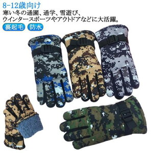 XL[O[u 8-12Ό LbY H N LbY  h XL[ j̎q ʊw ܖ{w j̎q 5{w WjA qp ǂ  j ̎q ĂԂ wZ ʉ Xm