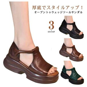 T_ fB[X T_ Ȃ 5cm ₷ I[vgD EFbW\[T_  T_ PUU[ r ₷ xN  r gUP ~ J