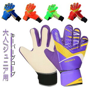 qp tbgT S[L[p[ WjA L[p[O[u g[jO ebNXp[ 10 N TbJ[ Kp X^_[h LbY ebNXp[ qǂ K p lp