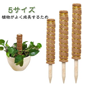 K[f Xe Ax Ԃ  |gX RRibc  |x  x A K[fjOpx ؐ RRibcx x RRXeBbN O ϗtx 