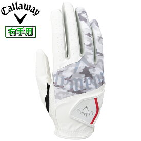 Callaway キャロウェイ 日本正規品 Graphic Glove 23 JM グラフィック グローブ メンズ ゴルフグローブ(右手用) 2023モデル 【あす楽対応】