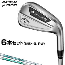 楽天市場】apex アイアン #4の通販
