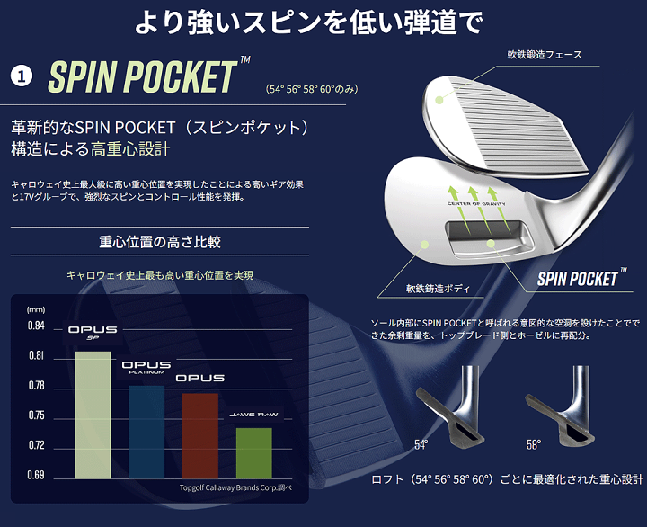 楽天市場】【12/15 エントリー/抽選で最大100%ポイントバック