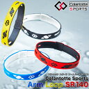 【7/13 10時～最大5倍!超ポイントバック祭[62H]】 ColanTotte コラントッテ日本正規品 ColanTotte Sports Arm Loop SR140 (コラントッテスポーツ アームループ) 男女兼用 腕用磁気アクセサリー 2023モデル 「 AMACA 」 【当店在庫品】