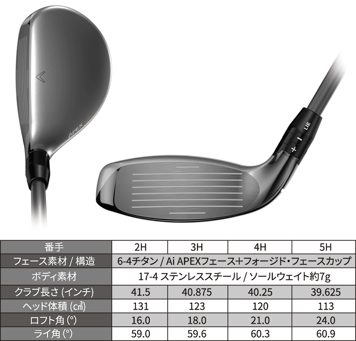楽天市場】【1/1～1/3 エントリー/抽選で最大500%ポイントバック