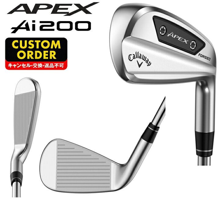 楽天市場】APEX Ai200 アイアン ダイナミックゴールド105スチール 