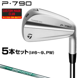 P790アイアン NSPRO850GH neoスチールシャフト 5本セット(#6～9、PW) 【カスタムメイドクラブ】 TaylorMade テーラーメイド 日本正規品 2023モデル