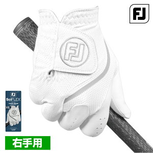 y10/30!Gg[œXSi|Cg10{!z FOOTJOY tbgWC {Ki SciFLEX TCtbNX Y StO[u(Ep) 2025Viu FGSF25L v yX݌ɕiz