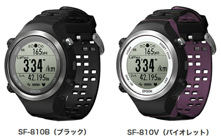 楽天市場 エプソン ｅｐｓｏｎ 脈拍計測機能搭載ｇｐｓランニングウォッチｓｆ ８１０ ｅｚａｋｉ ｎｅｔ ｇｏｌｆ