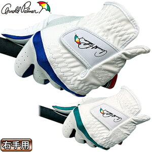 ARNOLD PALMER A[mhp[}[ Ki Y StO[u(Ep) u APG-116 v