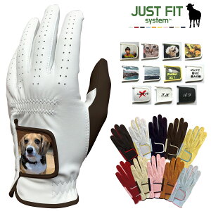 y11/1 Gg[/Iōő100%|CgobNz Just Fit System WXgtBbgVXe Ki I[_[Ch StO[u u Mtg VRrv JF-N01 v yX݌ɕiz