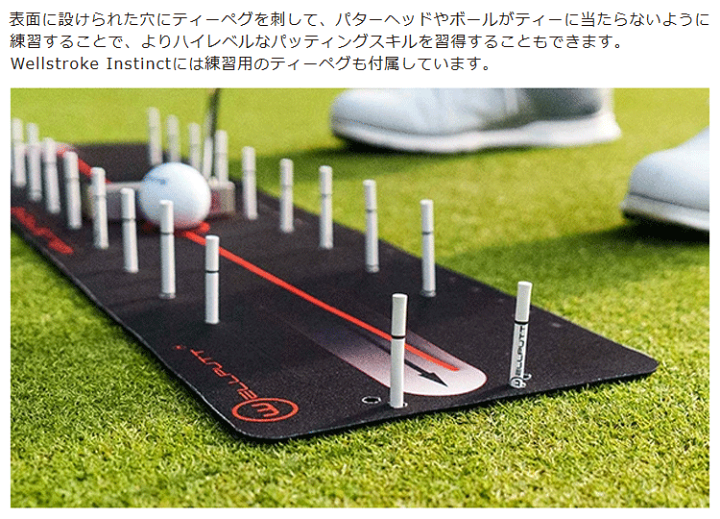 楽天市場】TEKWIND テックウインド日本正規品 Wellstroke Instinct Arc