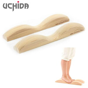 y12/10 Gg[/Iōő100%|CgobNz UCHIDA c̔VXe Ki A[`hN^[ AQ ~j u 2{1Zbg ADM-PL v