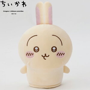 y11/18 Gg[/Iōő100%|CgobNz  GOLF  ʂ St wbhJo[ DR 2024f u hCo[p 2409-CKG003YE00 v yX݌ɕiz