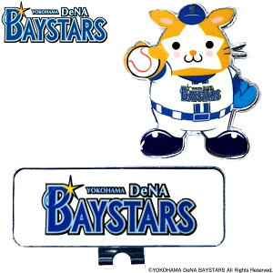 y11/15 Gg[/Iōő100%|CgobNz v싅 lDeNAxCX^[Y DB.X^[} St Nbv}[J[u MK0471 v