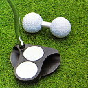 Golfit!(ゴルフイット) LiTE(ライト)日本正規品 ダブルパッティングボール(パッティング練習用ボール) 「G-171」 「ゴ…