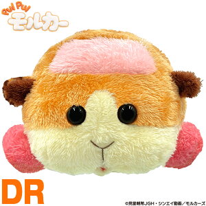 y11/18 Gg[/Iōő100%|CgobNz PUI PUI J[ |eg ʂ St wbhJo[ u hCo[p PUHD001 v yX݌ɕiz