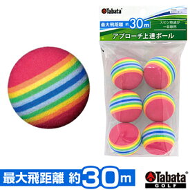 Tabata タバタ 正規品 スピナーボール(6球入) 「 GV-0305 」 「 ゴルフアプローチ練習用品 」 【あす楽対応】
