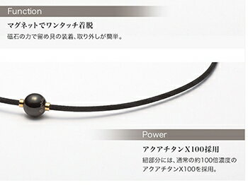 ファイテン(PHITEN)RAKUWAネックX100ミラーボールチタンネックレス【あす楽対応】