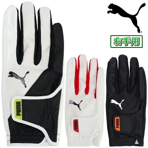 PUMA GOLF v[} St {Ki WWP Obv O[u Y StO[u ( Ep ) 2024f u 042015 v yX݌ɕiz