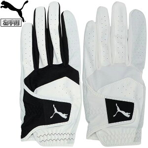 y11/1 Gg[/Iōő100%|CgobNz PUMA GOLF v[} St {Ki t@g U[ O[u Y StO[u ( p ) 2024f u 042016 v yX݌ɕiz