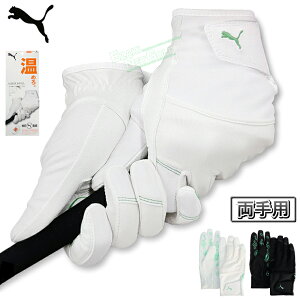 y11/15 Gg[/Iōő100%|CgobNz PUMA GOLF v[} St {Ki VhE EB^[ v StO[u ( p ) jp jZbNX 2024f u 042060 v 