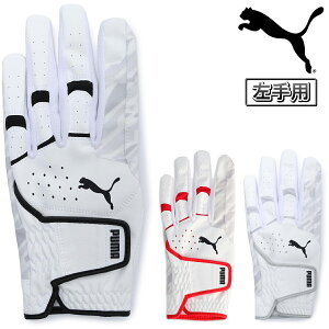 y12/1 Gg[/Iōő100%|CgobNz PUMA GOLF v[} St {Ki p[Obv2.0 v Y StO[u ( p ) 2025Vi u 042103 v yX݌ɕiz