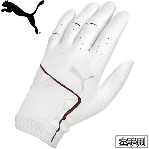 y11/18 Gg[/Iōő100%|CgobNz PUMA GOLF v[} St Ki X[p[^b` v Y StO[u ( p ) 2025Vi u 042107 v yX݌ɕiz