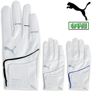 y11/18 Gg[/Iōő100%|CgobNz PUMA GOLF v[} St {Ki X[p[ U[ ^b` v Y StO[u ( Ep ) 2025Vi u 042108 v yX݌ɕi