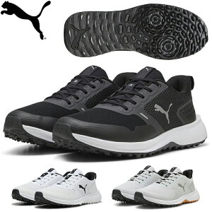 y11/11܂ Gg[ōŋz10{z PUMA GOLF v[} St {Ki t[WObv6 [X XpCNX StV[Y 2025f u 310260 v yX݌ɕiz