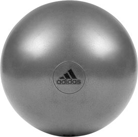 adidas(アディダス) ジムボール55cm グレー ADBL11245GR