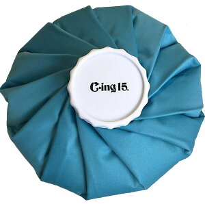 Cing15 Cing15iV[CO15j X|[cPApi ACVO X̂ LTCY e2200cc