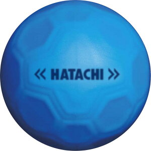 HATACHI(n^`) V[g{[ OEhESt \{[ u[