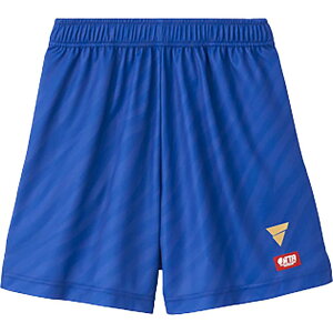 ���B�N�^�X V-GP503 �u���[