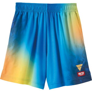 ���B�N�^�X V-GP603 �u���[