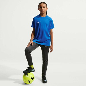�i�C�L YTH DF PARK VIII JSY S/S �g�b�v ���C�����u���[/(�z���C�g) njp-hv8182-463
