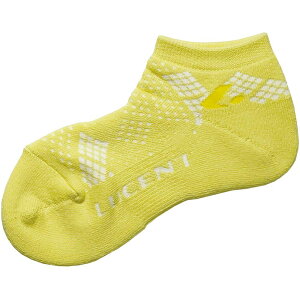 [Zg MENS\bNX(x[V[g) CG[