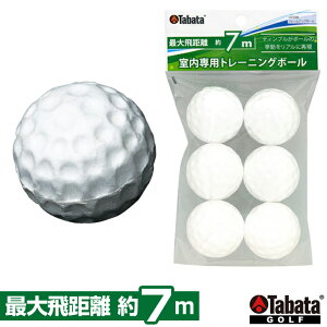 Tabata ^o^ Ki tH[Abv{[ ( 6 ) StKp g[jO{[ u ő򋗗7m GV-0306 v u StAv[`Kpi v