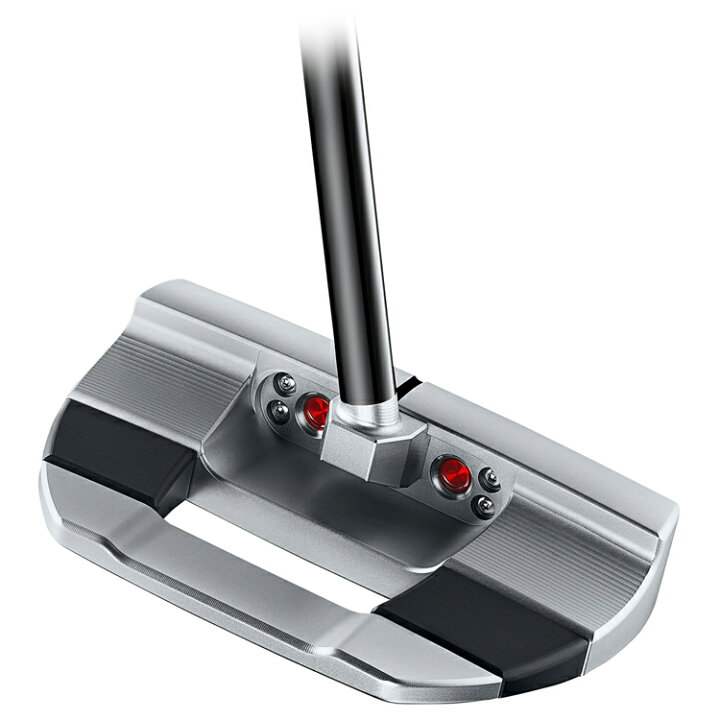 楽天市場】Titleist タイトリスト 日本正規品 SCOTTY CAMERON 