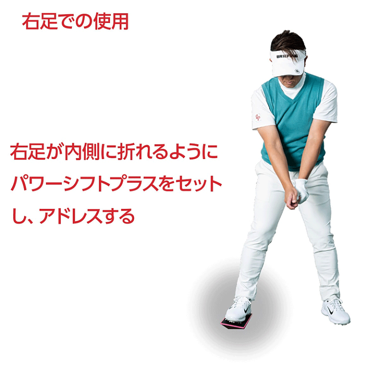楽天市場】LPSwing レフトペルヴィススイング 正規品 パワー