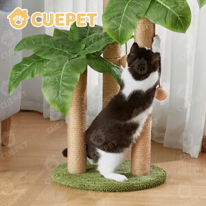 猫爪研ぎポール 猫 爪研ぎ ポール キャット爪とぎポール 猫 爪研ぎ ボール付きおもちゃ 爪研ぎ 省スペース 安定性抜群 天然素材 ファッション 高さ調整範囲40-80cm 猫 用品