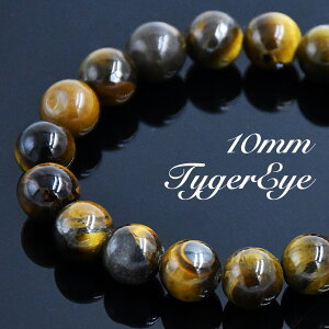 10mm ^CK[AC uXbg Ֆ r 16cm CG[uE 򂠂  F F VR j  Y fB[X  p[Xg[